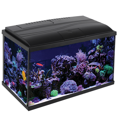 Аквариум eclipse dark, черный тонированный, 18,9л, 412*208*254мм, laguna