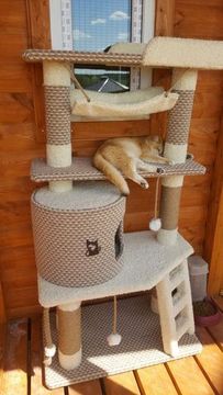 Игровой комплекс для кошек И - 82