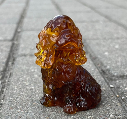 Спаниель кудрявый