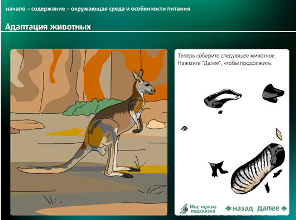 Интерактивные творческие задания "Биология. 7–9  класс"