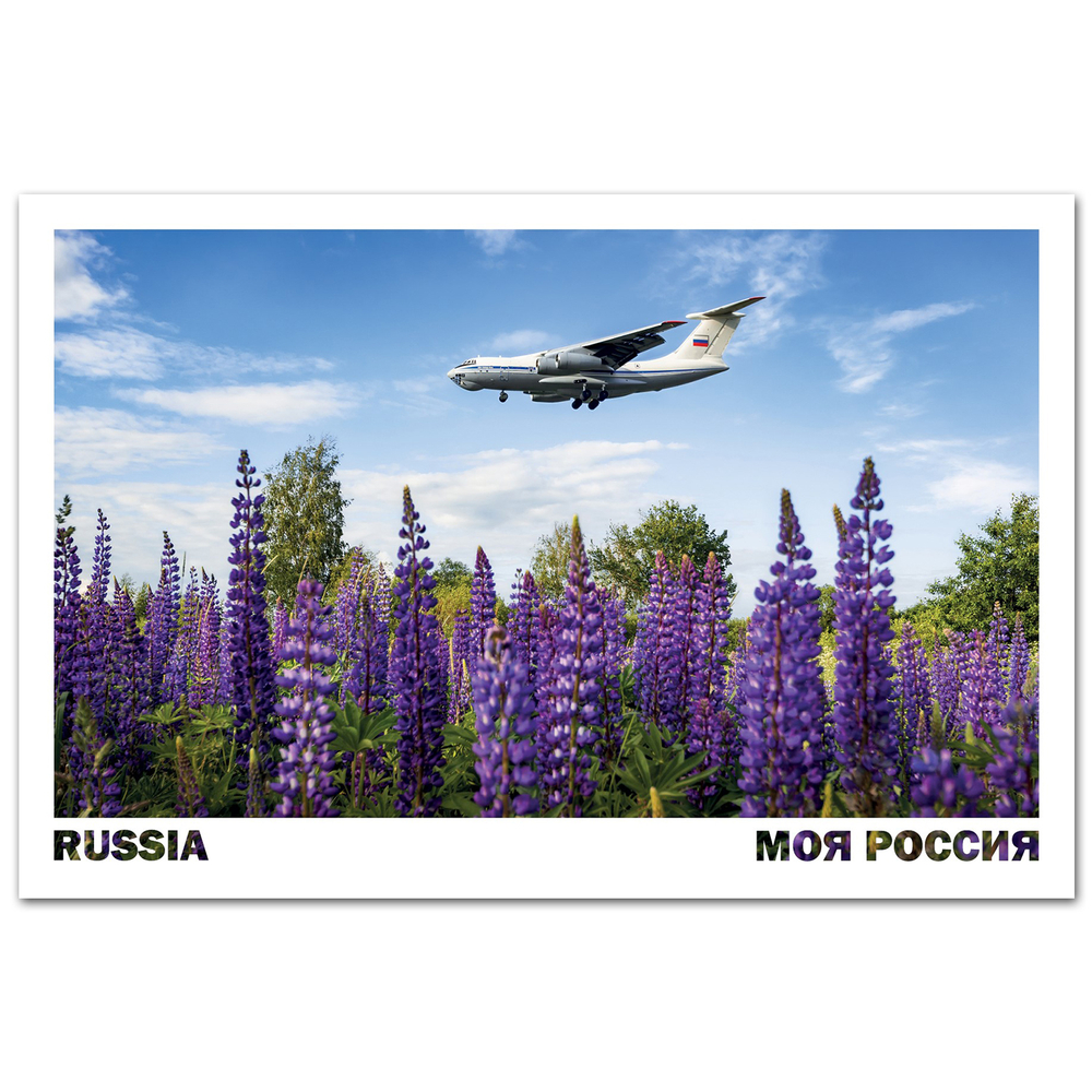 Самолёт Ил-76МД-90А над люпинами, Ивановская область