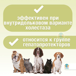 Гепаветариум 400 мг, раствор для инъекций, 5 мл, № 5. При гепатитах у кошек и собак. АВЗ Адеметионин