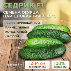 СЕДРИК F1 семена огурца (Enza Zaden | Alexagro)