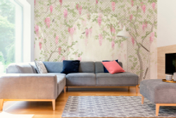 Коллекция Aurora