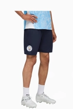 Шорты Puma Manchester City 24/25 Training - черный