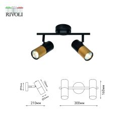 Светильник настенно-потолочный спот Rivoli   7073-702 2 х GU10 15 Вт поворотный