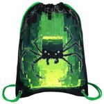 Мешок для обуви BRAUBERG PREMIUM, карман, подкладка, светоотражайка, 43х33 см, "Digital spider", 273444