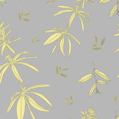 Лимонная трава и листья (серый фон)