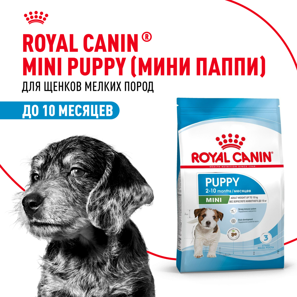 Royal Canin Mini Puppy Корм сухой для щенков мелких пород 800 г