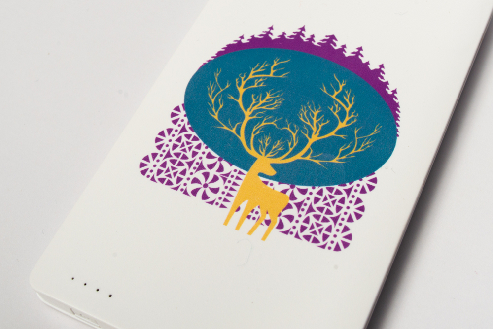 Внешний аккумулятор (powerbank) «Карелия», в ассортименте