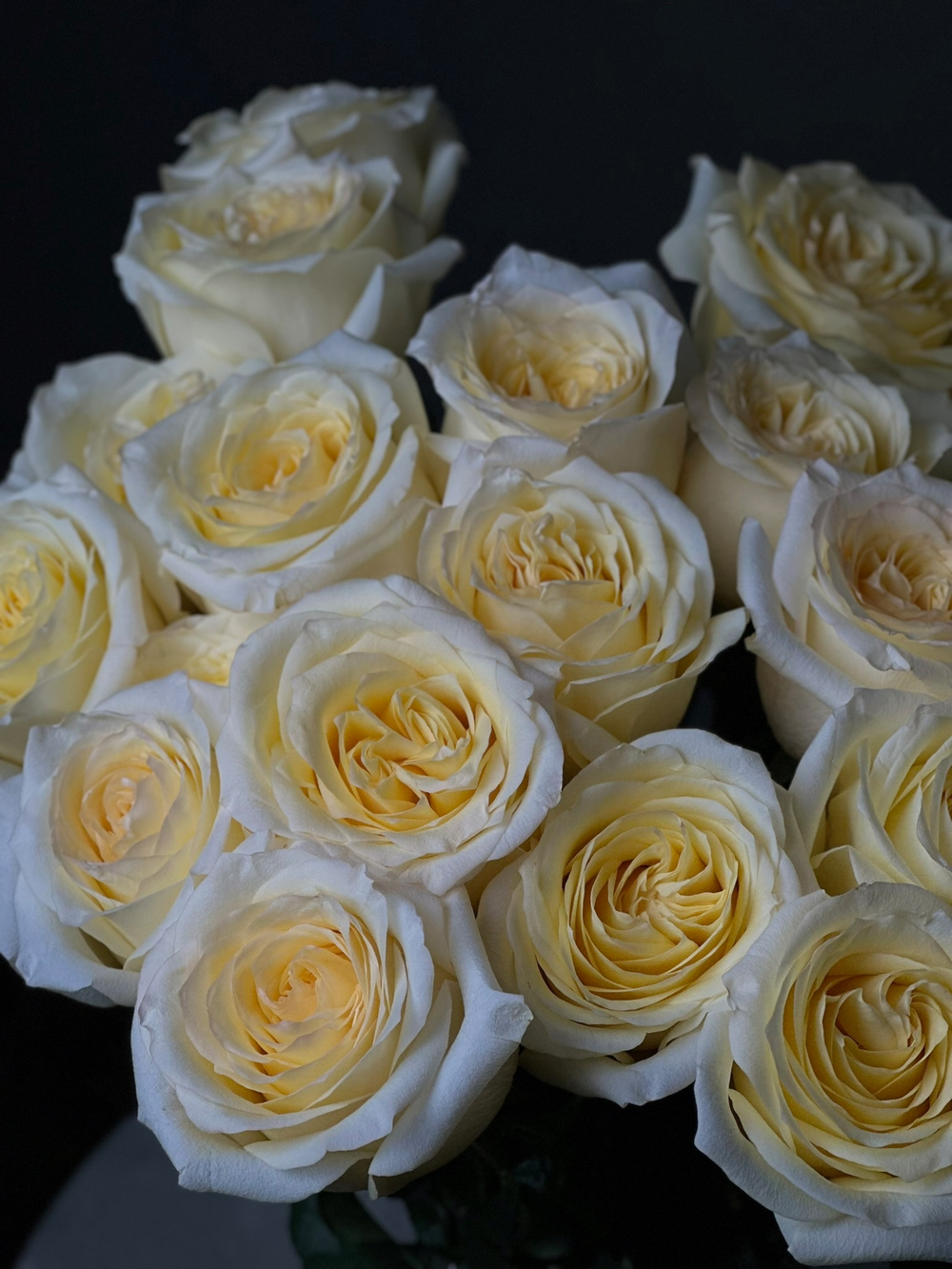 Пионовидные розы сорт «CANDLELIGHT» (Эквадор)