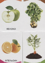 Фрукты, овощи, ягоды (Первые слова)/Росмэн/КН. 9785353090281