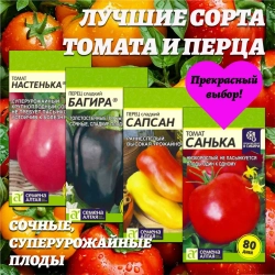 Лучшие сорта томата и перца. Семена Алтая