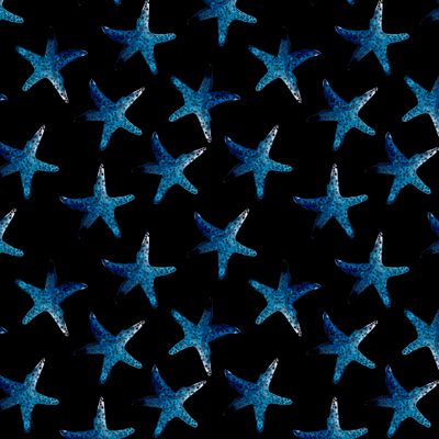 Морские звезды