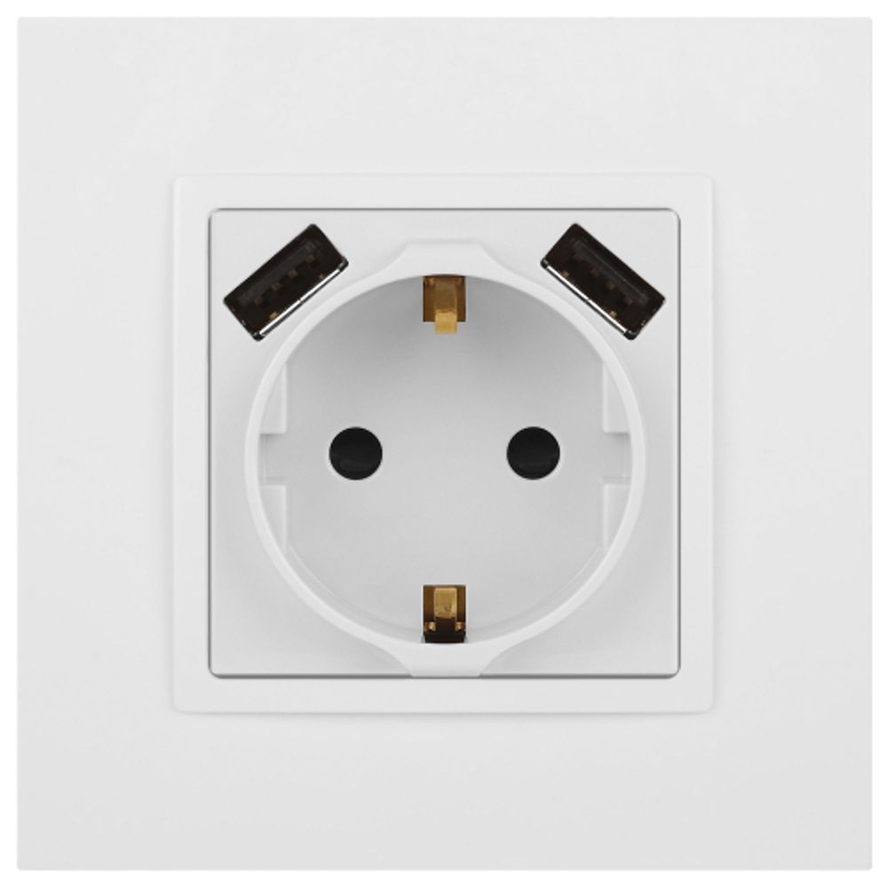 Розетка ЭРА Elegance 14-4109-01М 2P+E 16A-250В, штор. с 2xUSB 5В-3А, белый матовый