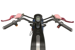 Электроскутер GT Citycoco X7 PRO TRIKE