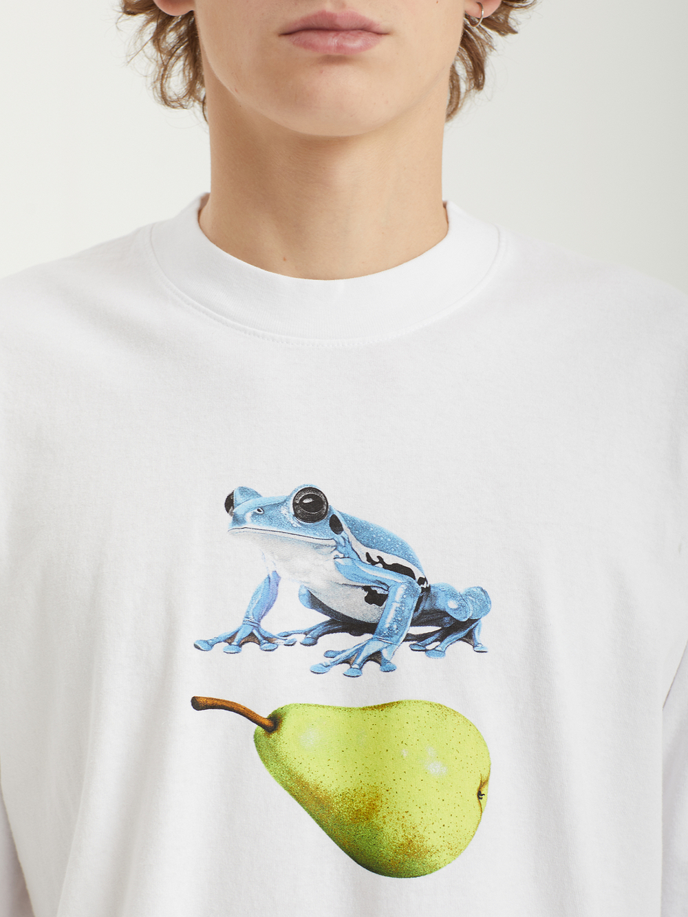 Мужская Футболка Frog Pear