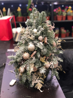 Снежное чудо