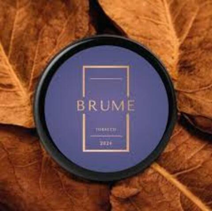 BRUME 100 Intro
