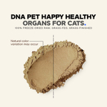 Codeage, DNA Pet, для здоровья органов, формула для нескольких органов и желез, для кошек, 42 г (1,48 унции)