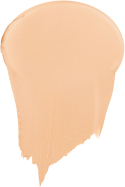 DIOR Dior Forever Skin Perfect - Многофункциональная тональная основа в стике оттенок 2W Warm, 10 g