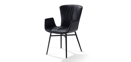 Стул Draenert Dexter 2058