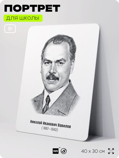 Портрет для школы в кабинет биологии "Николай Иванович Вавилов", стенд школьный для класса, деятели науки для оформления классного уголка, 40х30 см, Silver Plane x Айдентика Технолоджи