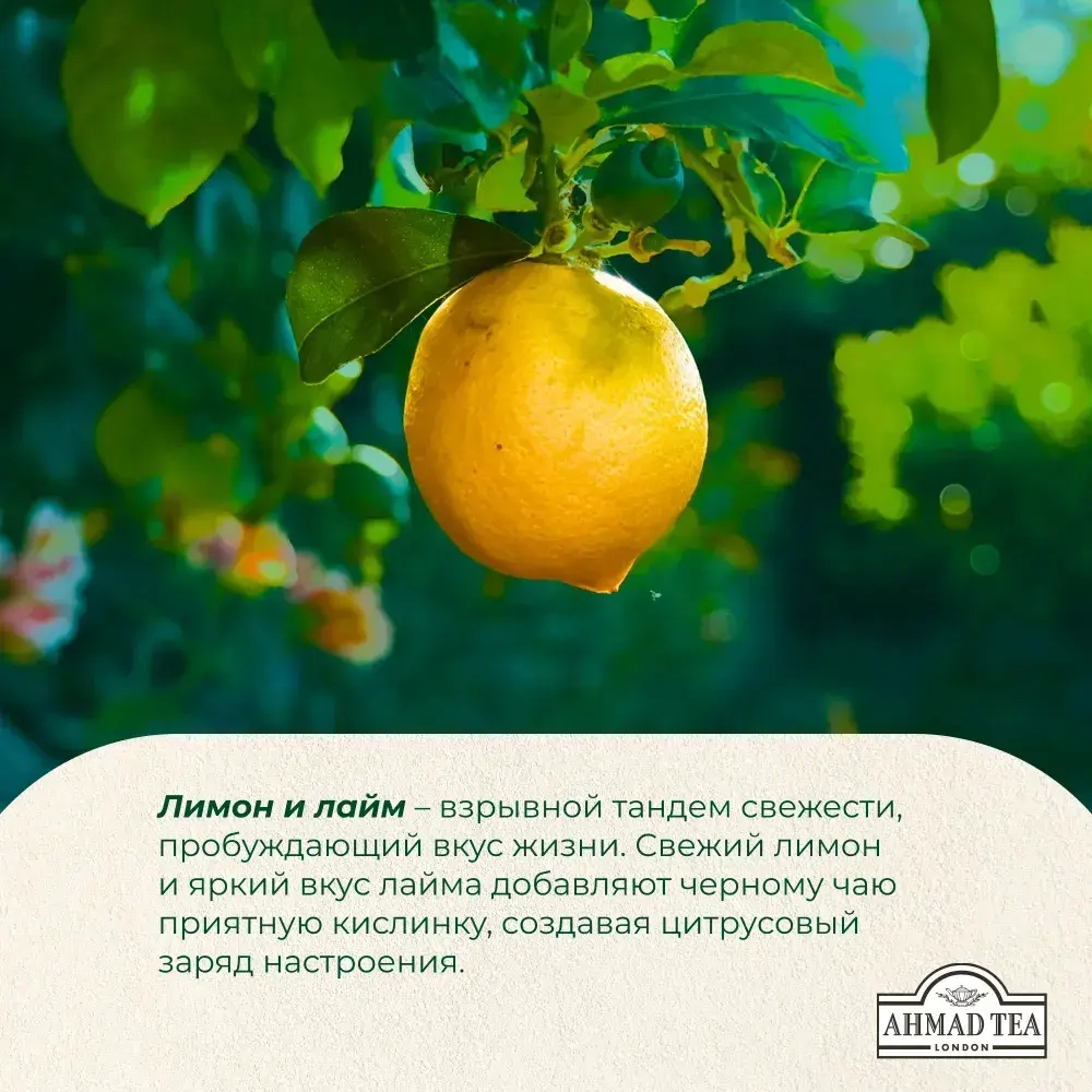 Чай в пакетиках чёрный Ahmad Tea Citrus Sensation, 25 шт