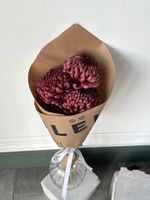 Кулек из одноголовой хризантемы