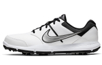 Nike Durasport 4 Wide "White Metallic Silver"