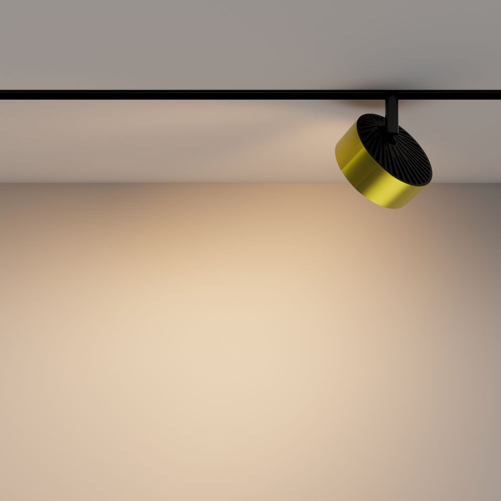 Трековый магнитный светодиодный светильник Maytoni Exility   TR040-2-18W3K-BBS