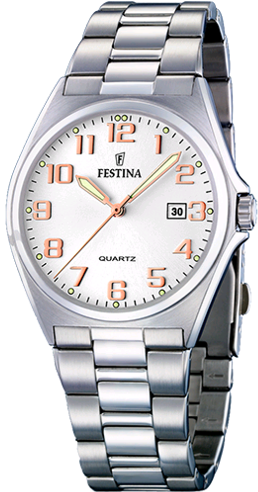 Мужские наручные часы Festina F16476/1