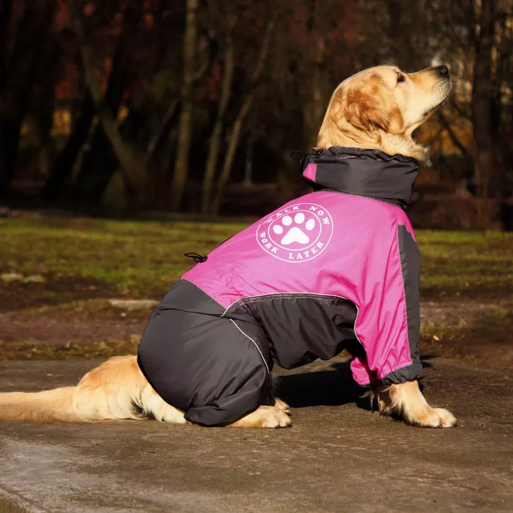 Комбинезон для собаки дождевик демисезонный White Wolf вырез на девочку розово-чёрный