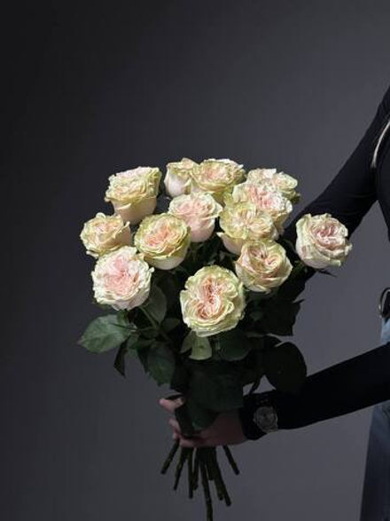 Букет из 15  розово-зеленых пионовидных роз под ленту