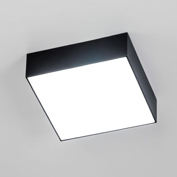 Накладной светодиодный светильник Citilux Тао CL712X122N