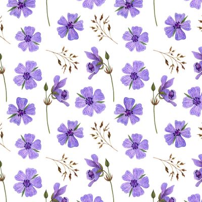 Луговая герань