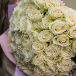 Букет из 51 белой розы Эквадор