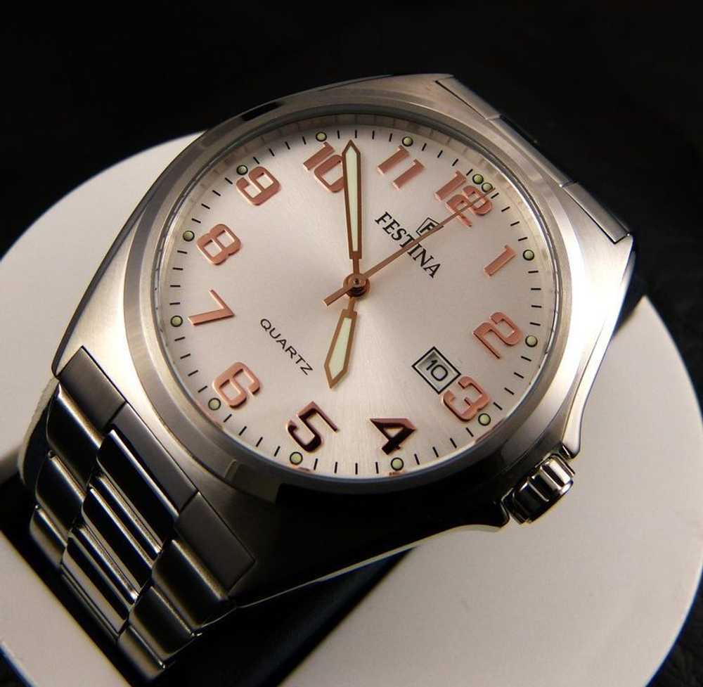 Мужские наручные часы Festina F16374/7