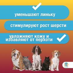 Капли от зуда и перхоти Neoterica Цитодерм для кошек и собак до 10кг, 4 пипетки