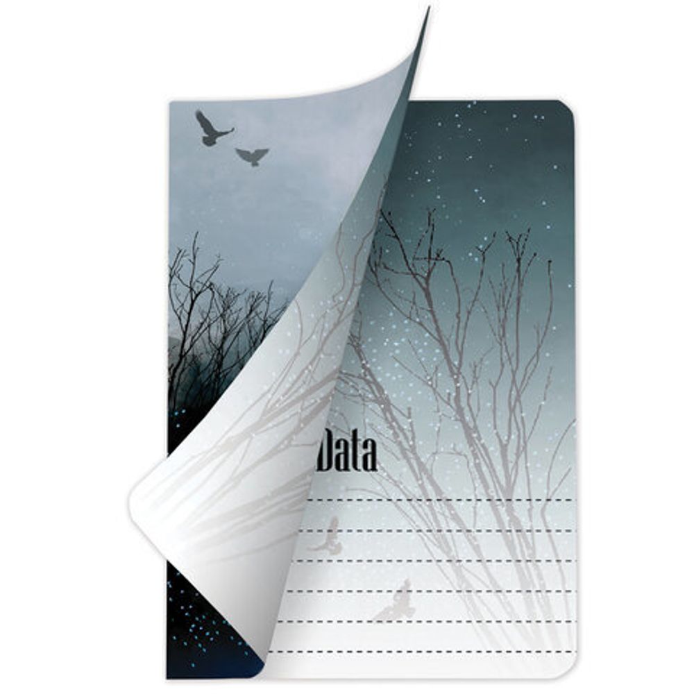 Тетрадь 40 л. в линию обложка SoftTouch, бежевая бумага 70 г/м2, сшивка, А5 (147х210 мм), ВОЛК, BRAUBERG, 403797