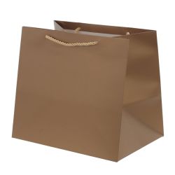 GAEM Пакет подарочный (бумага 230г/м2, блок 12шт), L28 W20 H25 см, 5в.