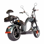 Электроскутер Skyboard Chooper -3000 (Enisei)