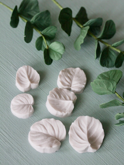 Набор вайнеров для лепки листьев эвкалипта Coprussia