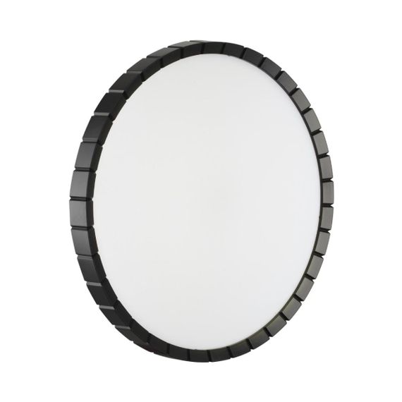 Настенно-потолочный светодиодный светильник Sonex Pale Atabi Black 7649/DLN