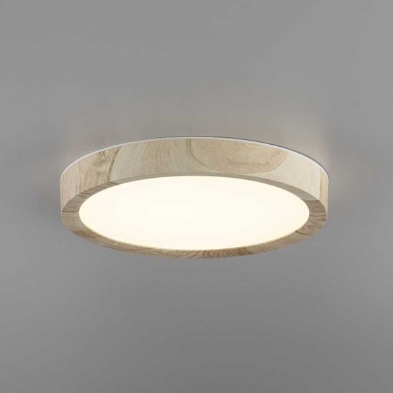 Светильник накладной Citilux Бейсик CL738122N
