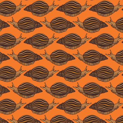 Seamless pattern of Snail.