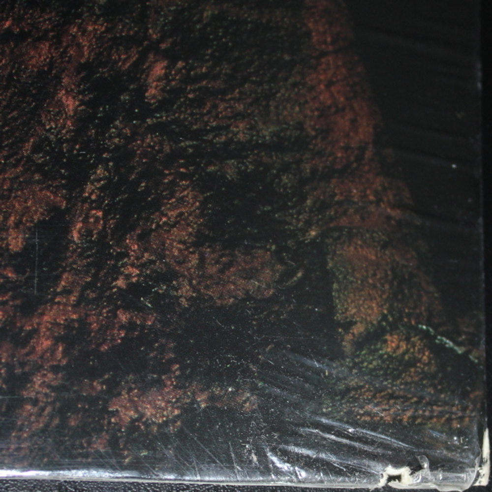 Black Sabbath / The Eternal Idol (LP)