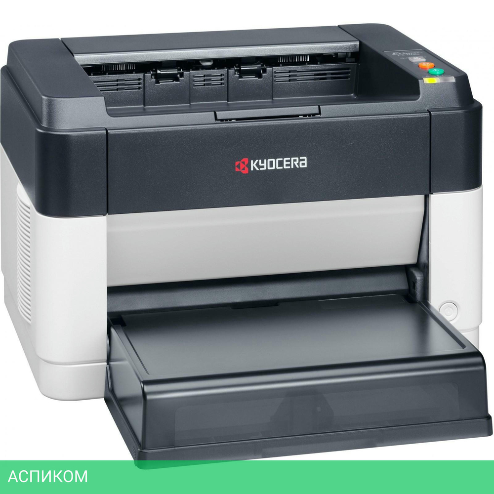 Принтер Kyocera Ecosys FS-1060DN (1102M33RU0)