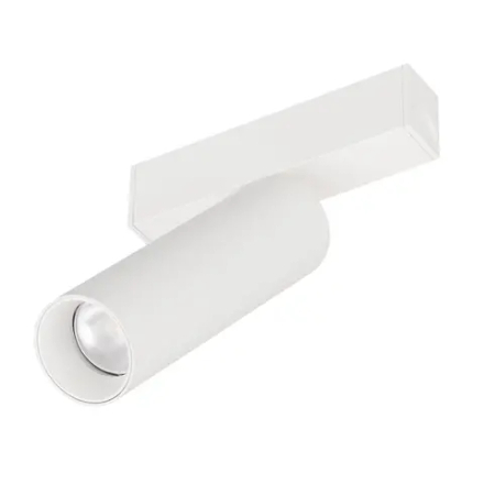 Светильник MAG-SPOT-25-R120-12W Day4000 (WH, 30 deg, 24V) (Arlight, IP20 Металл, 5 лет) 050076